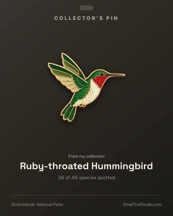 A Scratchbook Collector's Pin card for the Ruby-throated Hummingbird, 36 of 48 species spotted